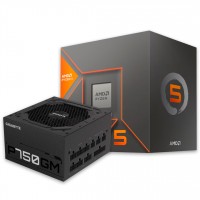 KIT GIGABYTE 750W 80 BRONZE + AMD 8600G