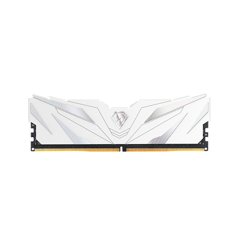 MEMORIA NETAC SHADOW II DDR5 4800 16GB C40 WHITE