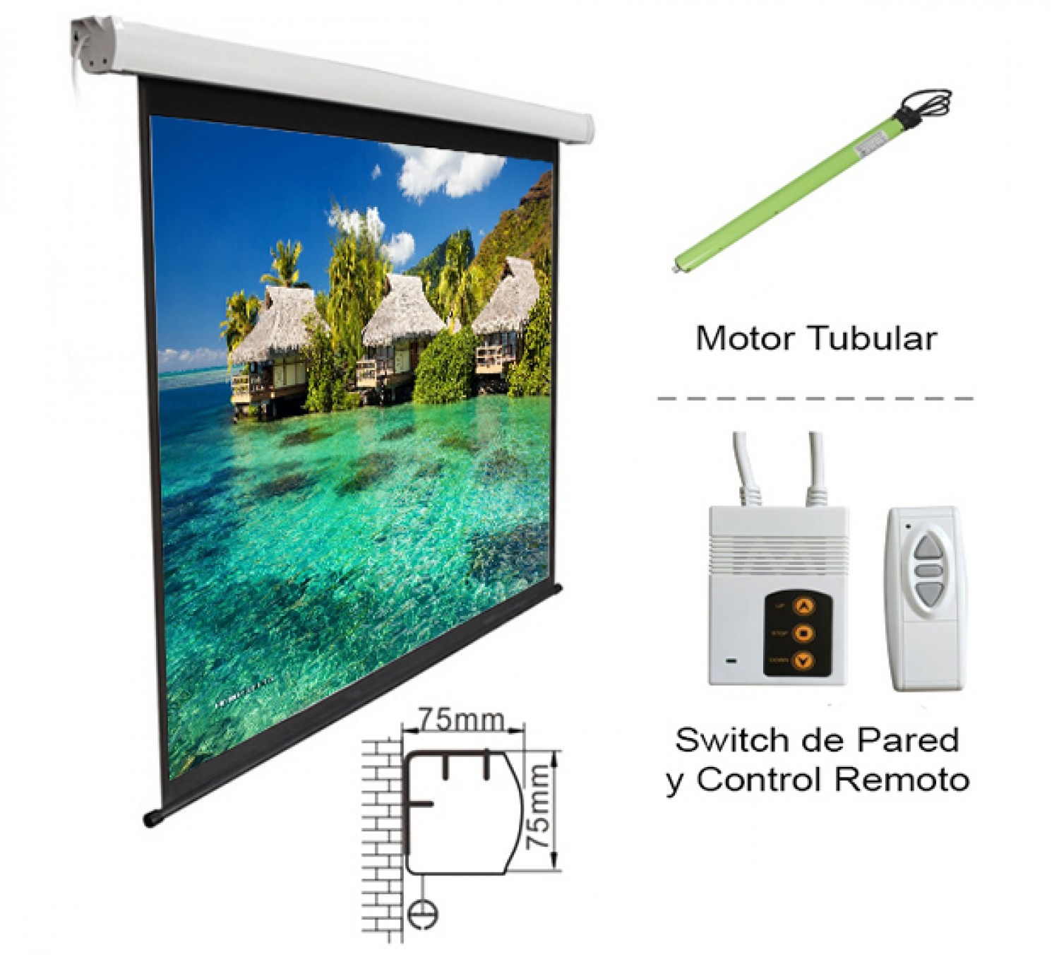 PANTALLA PROYECTOR PARED 150` ELECTRICA INTELAID