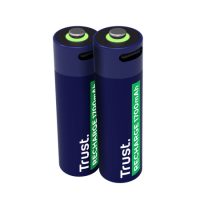 PILAS AA RECARGABLES USB-C TRUST CON LUZ LED (2-PACK)