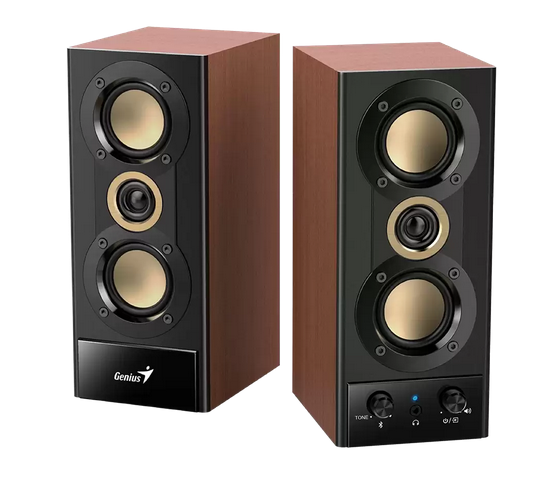 Parlante Genius Rs2 Sp-hf800bt Wood