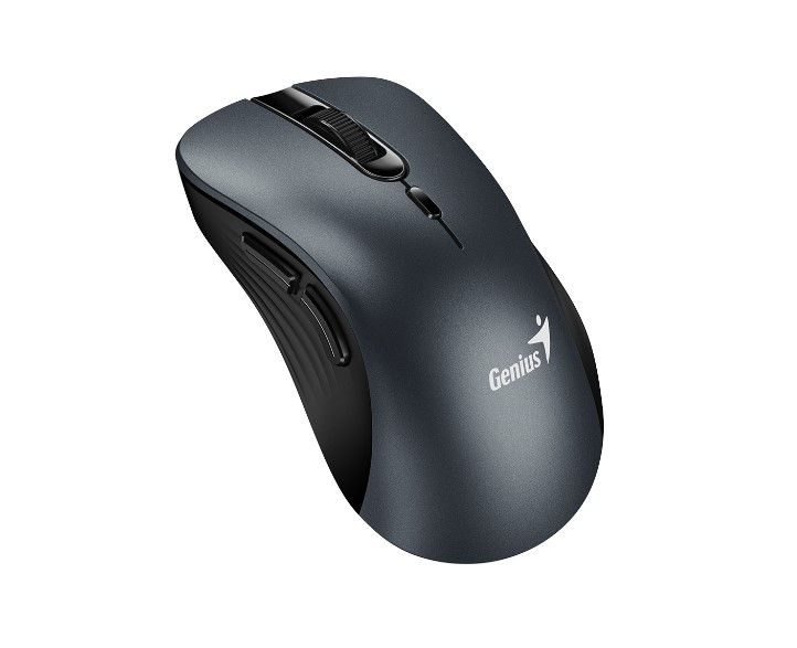 Mouse Genius Ergo 8100s Ai Silver Gray