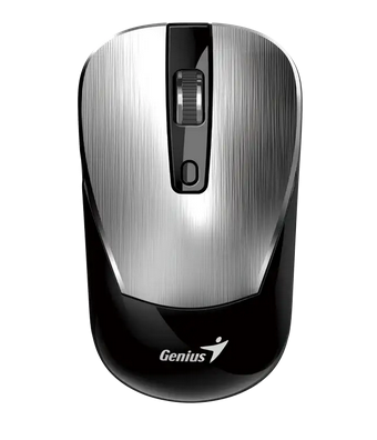 Mouse Genius Rs2 Nx-7125 Iron Grey