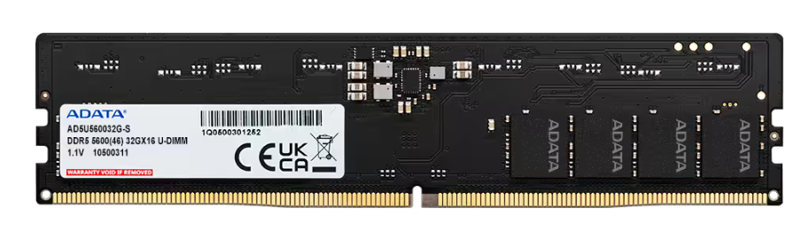 Memoria Adata Ddr5 32gb 5600 Single Traynon Heat