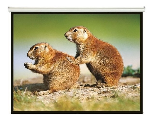 Pantalla Intelaid Proyector 86 Pulgadas Colgante It-sps86