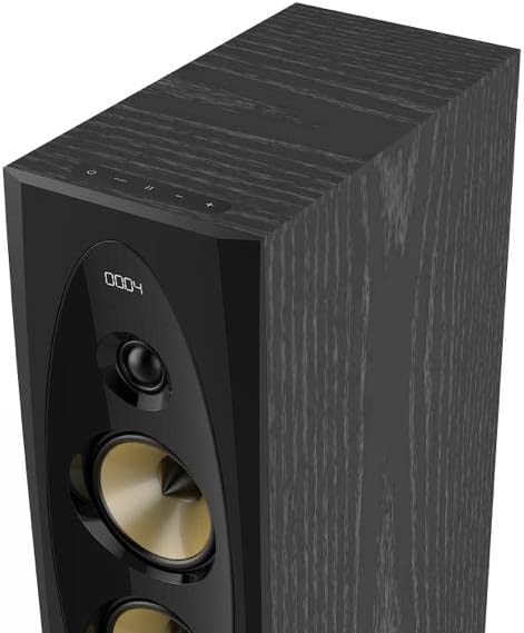 Parlante Fyd Fenda T-60x Pro Black