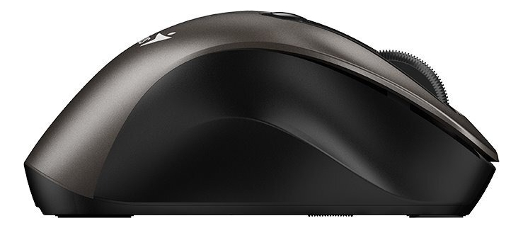 Mouse Genius Rs2 Ergo 9000s Champagne Titanium