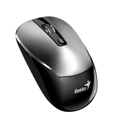 Mouse Genius Rs2 Nx-7125 Iron Grey