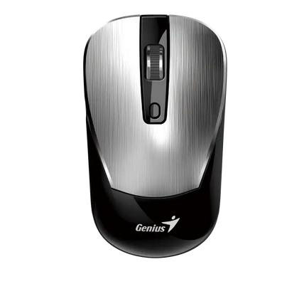 Mouse Genius Rs2 Nx-7125 Silver