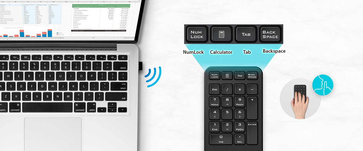 Teclado Genius Numerico Numpad 1000 Black