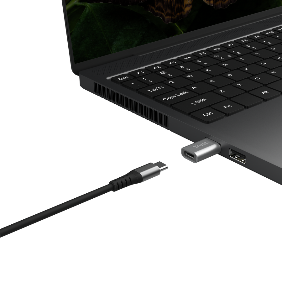 Accesorios Trust Calyx Adaptador Usb-a Usb-c 2 Pack
