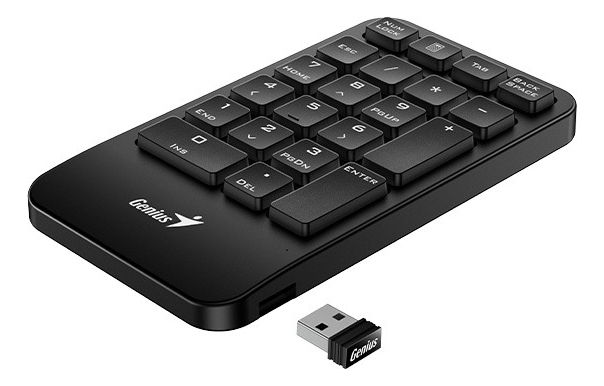Teclado Genius Numerico Numpad 1000 Black